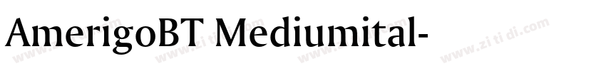AmerigoBT Mediumital字体转换